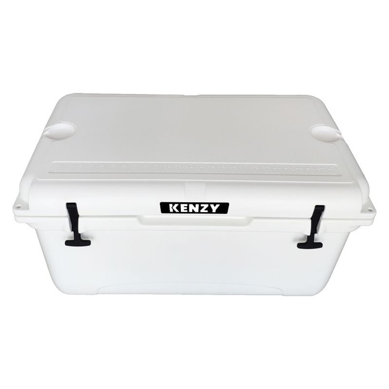 65L Hard Cooler